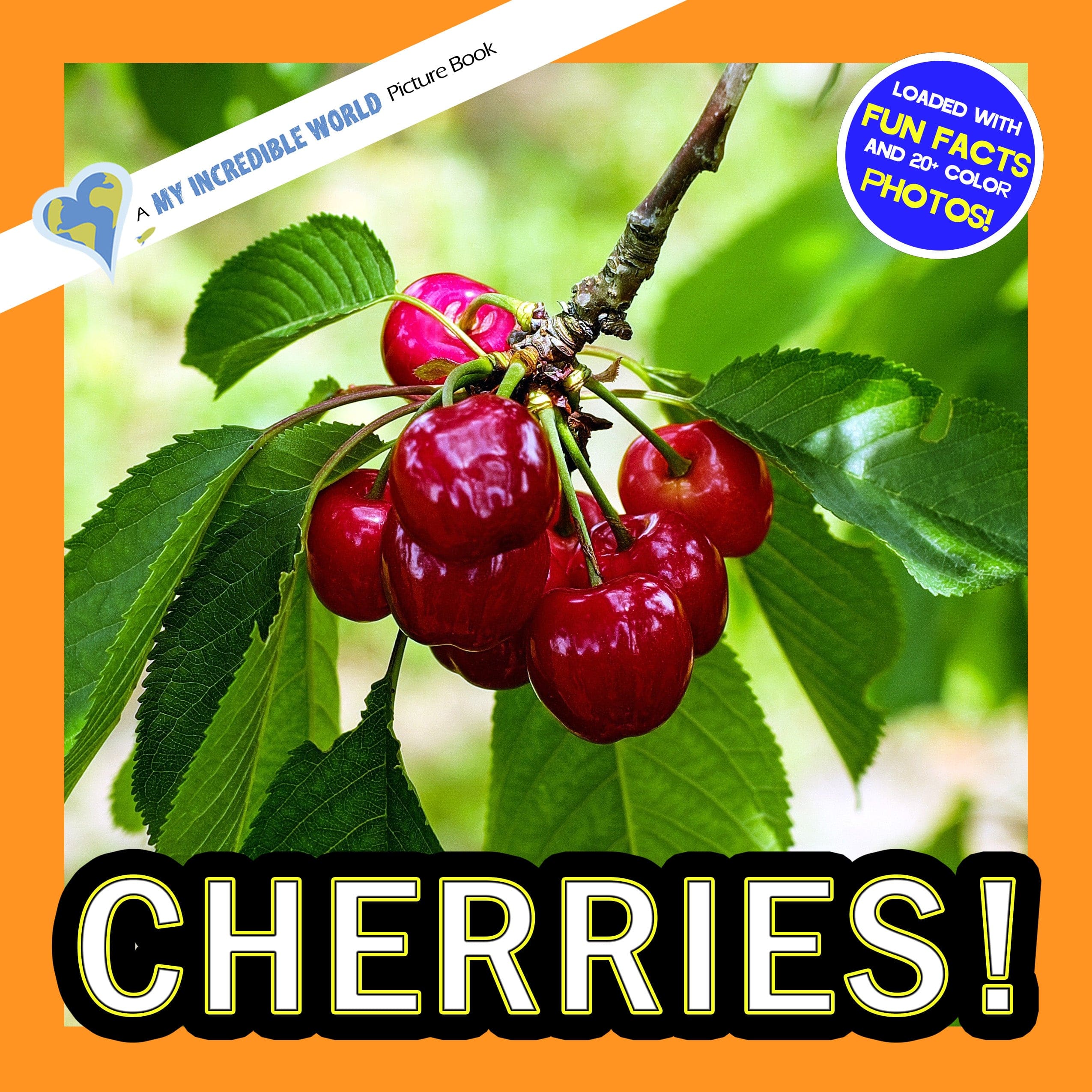 Cherries! A My Incredible World Picture Book for Children